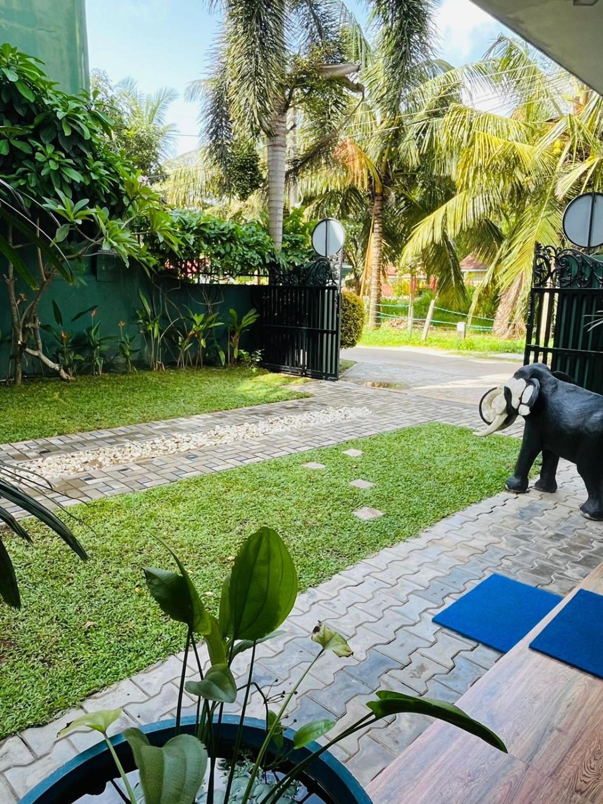 Nebula Residence Negombo Exteriör bild