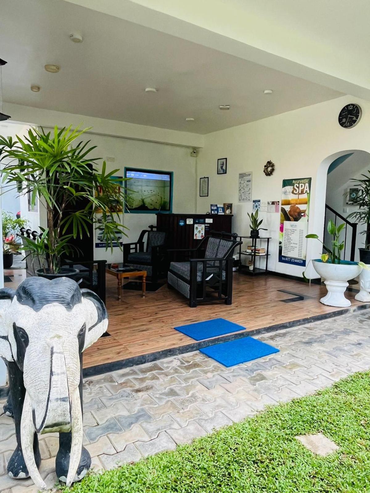 Nebula Residence Negombo Exteriör bild